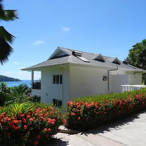 Sailfish , Anse a La Mouche Seychellen